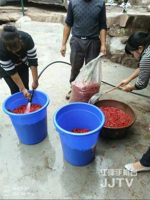 身手不凡的'四屏親戚' 科技助力初級(jí)農(nóng)產(chǎn)品收購，精準(zhǔn)幫扶貧困戶增收