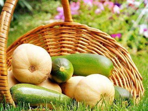 立足田間地頭，胸懷星辰大海 農產品電商創業者的心態修煉與收購之道