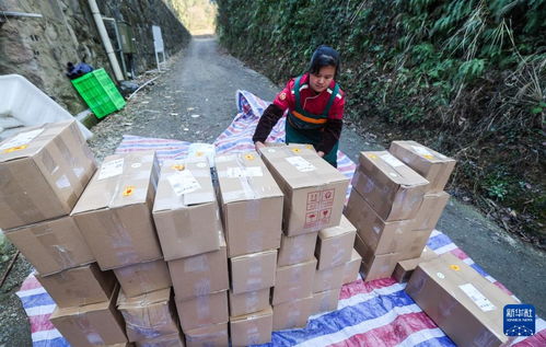 浙江淳安 傳統農產品走俏年貨市場，山珍好味帶動農副產品銷售熱潮