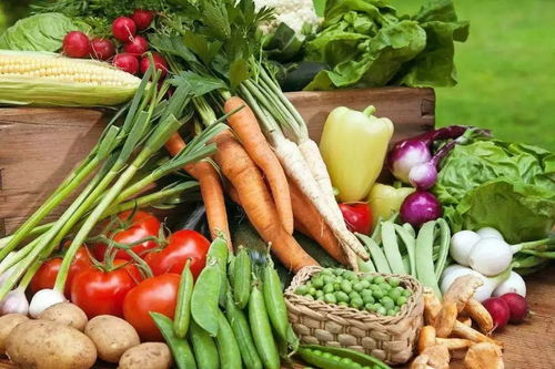 驚世駭俗的“養生”方式 當靜脈注入成為果籃的終端產物[諷刺幽默故事播客體]